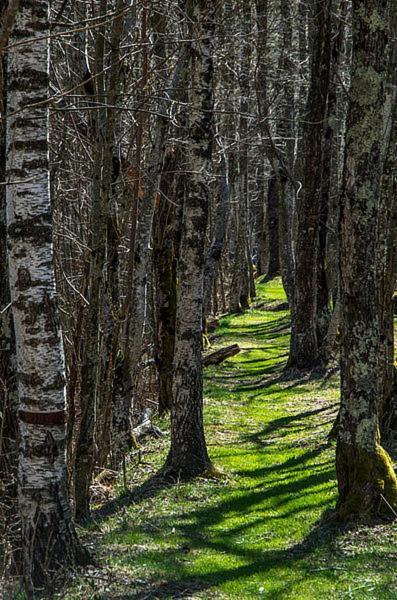 Ostello Landarenca Exteriér fotografie