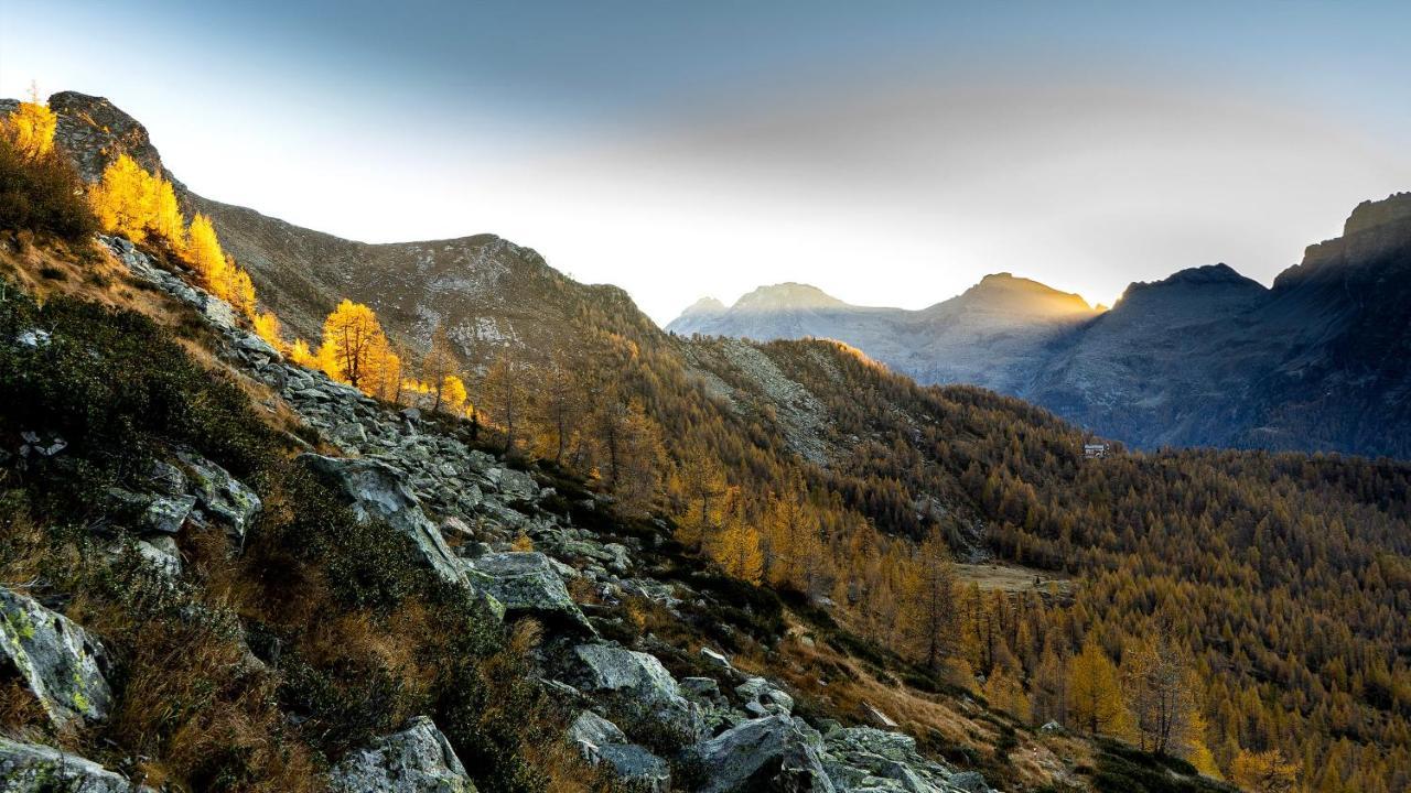 Ostello Landarenca Exteriér fotografie